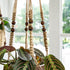 3 Pack 35"/29"/23", Mkono Macrame Plant Hangers Indoor Different Size Hanging Planter Basket Flower Pot Holder