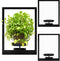 TECKED 3 Pack Black Metal Indoor Window Plant Shelves Hanging Plant Shelves Picture