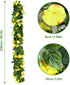 AirSun Artificial Morning Glory Flower Vines, 2pcs 15Feet Silk Garland for Home Garden Decor