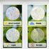 GORGECRAFT 6x7 Inch Leaf Window Clings, Static Rainbow Window Stickers, Anti-Collision Glass Decals for Decor