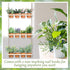 FillTouch 3 12 Tiered Hanging Herb Planters Hanging Herb Garden Wall with Pcs Nursery Pot Wood Vertical Window Plant
