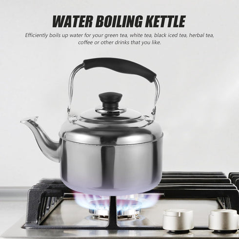KALLORY 1pc Stainless Steel Teapot, Camping Water Kettle, Stainless Steel Tea Kettle for Stove Top