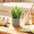 AUUGUU Artificial Potted Plants Faux Greenery in Cement Pots for Shelf, Bookshelf, Office or Home Decor, Small