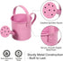 5 Pack 6oz Small Metal Watering Can for Kids, Mini Plant Water Pot for Indoor Outdoor Gardening, Cute Toddler Beach