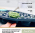 Trudeau Structure Silicone Muffin Pan, 24 Cup Mini, Grey/Mint by Trudeau