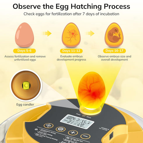 Innvello 18 2 2 Egg Incubator with Automatic Egg Turning and Humidity Control, Chicken Incubator for Hatching Eggs