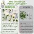33ft 100 suddus Vine with Fairy Light Plug in, LED Pothos String Lights Connectable with Remote, Leaf Lights
