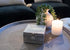 Cottage Garden Home Dog Pawprint Keepsake Box - Silver Tone Metal Jewelry