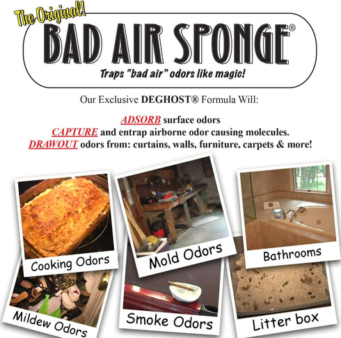 2lb. (3002N), Bad Air Sponge Container Blue