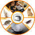QEES Toaster Cover, 2 Slice, Transparent Polyester, Dustproof, Universal Size, Microwave Oven Cover