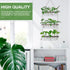 21 3 XXXFLOWER Wall Hanging Propagation Station with Wooden Stand Glass Test Tubes Tiers Planters Wall Terrarium
