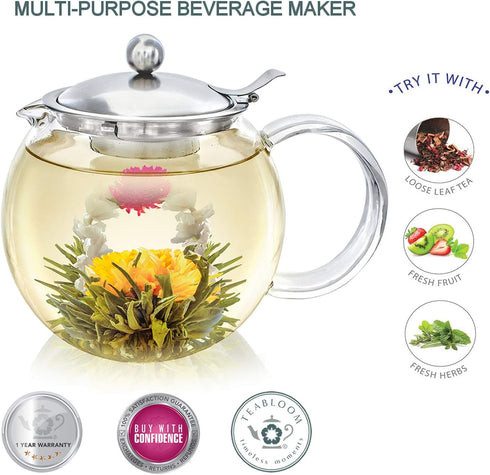 Teabloom All-in-One Glass Teapot and Kettle, Heatproof Borosilicate Glass with Removable Stainless Steel Infuser