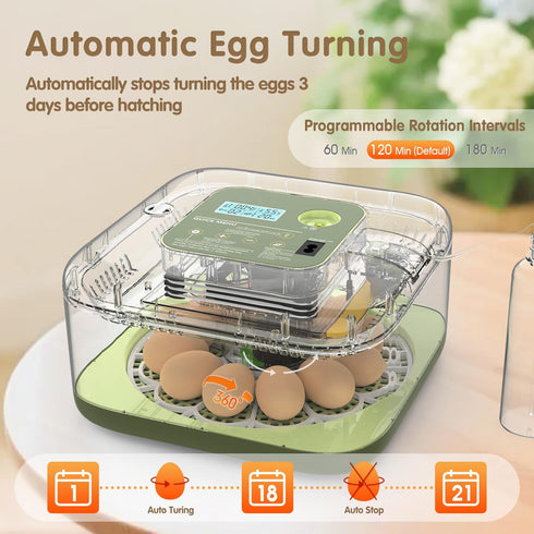 12 HOWOOlUA Egg Incubator for Hatching Eggs withAuto Turn, Temp & Humidity Control, Built-in CandleLarge Capacity Egg