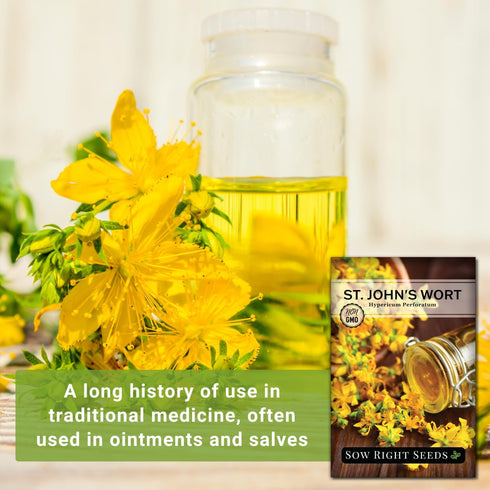 Packet (1) Sow Right Seeds - St Johns Wort Seeds for Planting - Non-GMO Heirloom with Instructions to Plant & Grow an