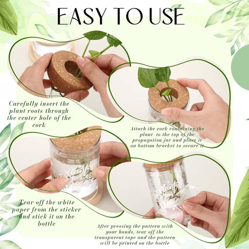 12 Packs Set Baderke Plastic Plant Propagation Vase Thank You Gift Desktop Plastic Planter Vase with Bamboo Stand