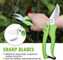 WORKPRO 2 Pcs Garden Clippers Kit, 8" Bypass Pruner & 8.5" Straight Blade Shear for Trimming Plants & Flowers