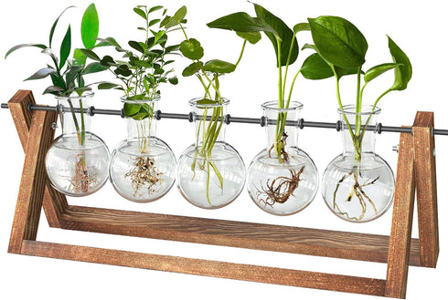 CFMOUR Plant Terrarium with Wooden Stand, Desktop Propagation Stations Glass Air Planter