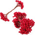 ROYHOO 500PCS 10mm 250 Artificial Holly Berries Christmas Fake Berries on Pieces Wire Stems for Christmas Tree