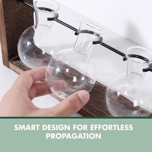 GARDEN REPUBLIC Plant Propagation Station, Wooden Stand with Propagation Tubes, Hanging Plant Glass Tubes Station