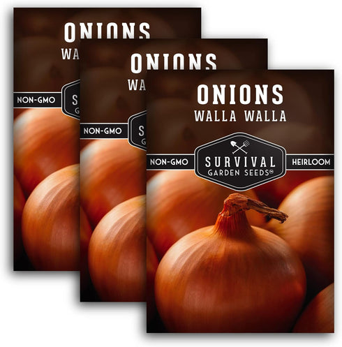 Walla Walla Sweet Onion Seeds for Planting Long Day Yellow Sweet Onions