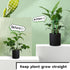 17inch &11inch 16Pcs 20 Plant Stakes SupKing Adjustable Length Plant Support Stake Orchid Stick with Clips for Indoor