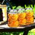 24 Pack 9.5 oz Patelai Glass Bear Shaped Honey Jars with Lids Reusable Small Tilted Bear Glass Bottles Containers