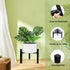 Sztbxuer 3Legs 5"-10" 1 Mini Adjustable Metal Plant Stand for Plant Pot Indoor & Outdoor (Black, Pcs)