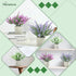 Indoor3-Pack Plant Stand Lifelike Artificial Lavender Artificial Plants Indoor, Nordic Lavender Table