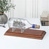 9.75" 4.5" 0.75" Plymor Solid Walnut Rectangular Wood Display Base with Ogee Edge, W x D x H