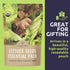 Pack 5 Packs 2026 Organic Lettuce & Greens Seeds Variety - Individual - Season - Buttercrunch, Gourmet Mix, Romaine