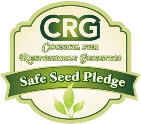 500 Kale Blue Scotch Curled Seeds - Non GMO - Heirloom - Open Pollinated
