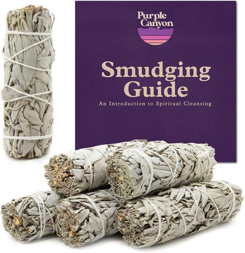 White Sage Bundles - 6 Pack Smudge Stick for Home Cleansing and Meditation, 4 inch