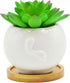 Cuteforyou Cute Cartoon Succulent Pots, Ceramic Cactus Flower Pot, Desk Accessories, Makeup Brush Storage (White Cow)