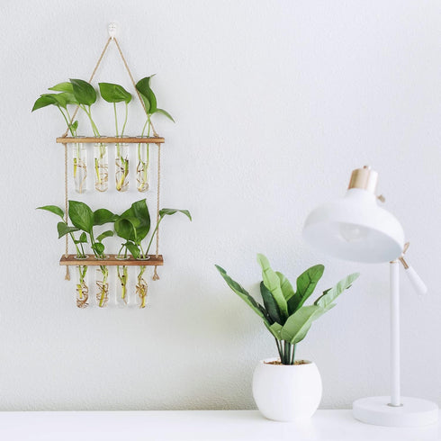 Hyindoor 2 8 Wall Hanging Planter Terrarium Tired Test Tube Vase Glass Planter Plant Propagation Station Plant Hangers