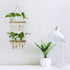 Hyindoor 2 8 Wall Hanging Planter Terrarium Tired Test Tube Vase Glass Planter Plant Propagation Station Plant Hangers
