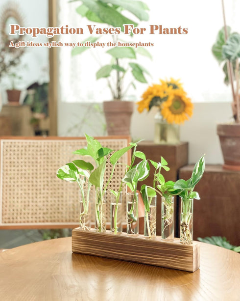 7 KAXYEW Plant Terrarium with Wooden Stand, Plant Propagation Tubes, Test Tubes Glass Planter for Hydroponic Plant