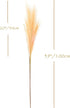 Faux Pampas Grass, Artificial Pampas Grass 6pcs, 39" Long Stem, Boho Room Decor Flowers Bunches, Orange