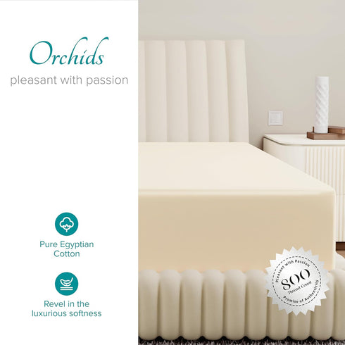 Carressa Linen Luxury 100% Egyptian Cotton California King Fitted Sheet, 800 TC, Deep Pocket, Ivory