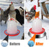 12 Inch 5 Chicken Water Heater Base, Gallons Poultry Drinker Heater Base with Thermostat and Power Cord, Automatic