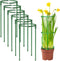 12Packs Plant Support Stakes Half Round Plant Stakes for Indoor Plants, Stackable