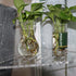 PIAOLGYI Replacement Shelf for IKEA Milsbo Tall Indoor Greenhouse Cabinet, Triangular Acrylic Corner Shelves Extra