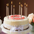 Luter 48Pcs Metallic Birthday Candles in Holders for Tall Birthday Cake and Long Thin Cupcake Decoration