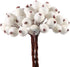 Tatuo 400 Pieces Artificial Frosted Holly Berries, Fake 12 mm Mini Fruit Berry Flower Fall Decor (White)