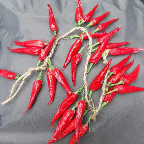 5pack Simulation Artificial Lifelike Fake Vegetables, Garlic, Red Pepper, Onion Hanging Rope Home Decor Props