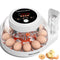 12 Egg Incubator for Hatching Eggs with Automatic Egg Turning, Temperature &