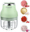 Electric Garlic Chopper, 250ML Mini Portable Veggie Chopper, Wireless Food Processor for Garlic, Onion, Green
