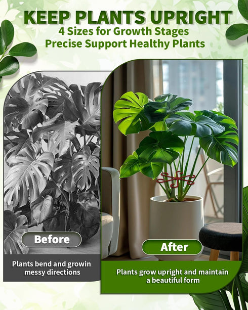 Aecsze 4 PCS Plant Stem Support, Climbing House Plant Stem Support, Plant Supports for Indoor Plants, Reusable