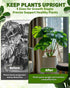 Aecsze 4 PCS Plant Stem Support, Climbing House Plant Stem Support, Plant Supports for Indoor Plants, Reusable