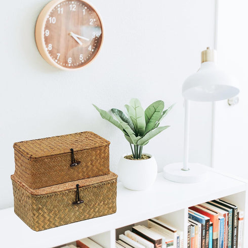 Set of 2 Seagrass Woven Storage Baskets with Lid, Decorative Bins for Organizing Home