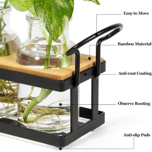5 THYGIFTREE Plant Propagation Stations with Metal Stand, Tabletop Plant Terrarium for Propagating Hydroponic, Retro